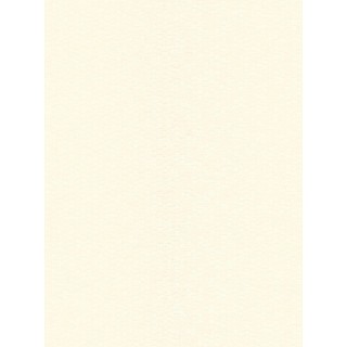 DW311871152 Blanc Wallpaper