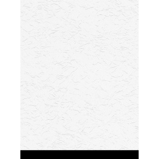 DW311953711 Blanc Wallpaper