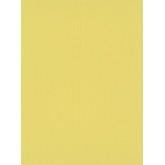 DW1066743-03 Yellow Urban Spirit Wallpaper