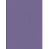 DW1066743-09 Violet Urban Spirit Wallpaper
