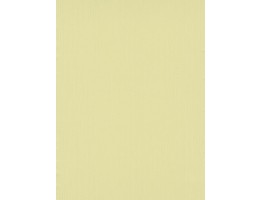 DW1076748-03 Yellow Plain Wallpaper