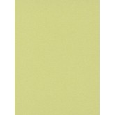 DW1076750-07 Green Plain Wallpaper