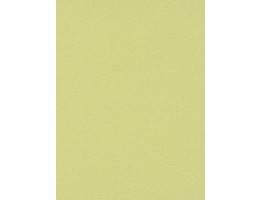 DW1076750-07 Green Plain Wallpaper