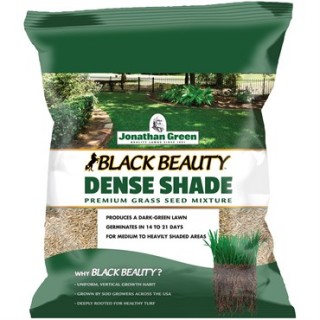 Jonathan Green® Black Beauty™ Dense Shade Grass Seed Mix - 1lb Bag - Covers up to 600sq ft