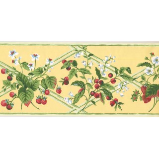 9.1 in x 15 ft Prepasted Wallpaper Borders - Fruits Wall Paper Border HS7878B