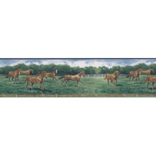 6 7/8 in x 15 ft Prepasted Wallpaper Borders - Horse Wall Paper Border 203B25575