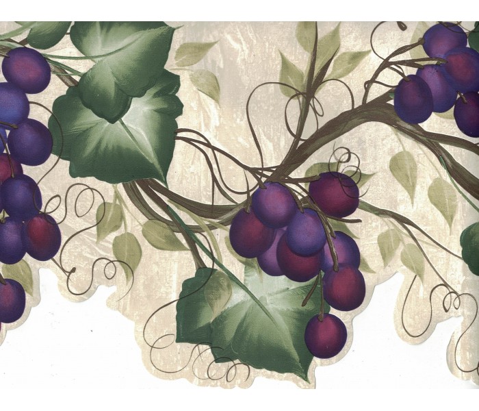 Garden Wallpaper Borders: Grapes Wallpaper Border 240B63992