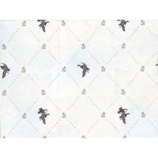 Birds Wallpaper 44313