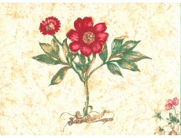 Floral Wallpaper 6022d