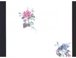 Floral Wallpaper 7093h
