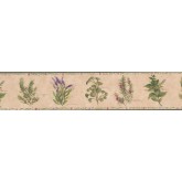 Garden Wallpaper Borders: Floral Wallpaper Border 77900 KT