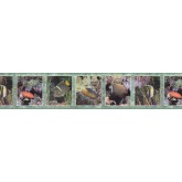Clearance: Fishes Wallpaper Border B92500