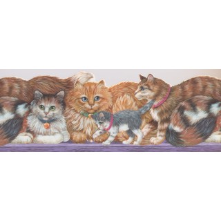 8 3/4 in x 15 ft Prepasted Wallpaper Borders - Cats Wall Paper Border 4102 ISB