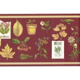 Garden Wallpaper Borders: Summer Herbs Wallpaper Border SPB5713