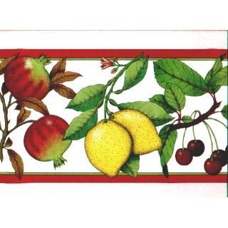 6 7/8 in x 15 ft Prepasted Wallpaper Borders - Fruits Wall Paper Border b167217