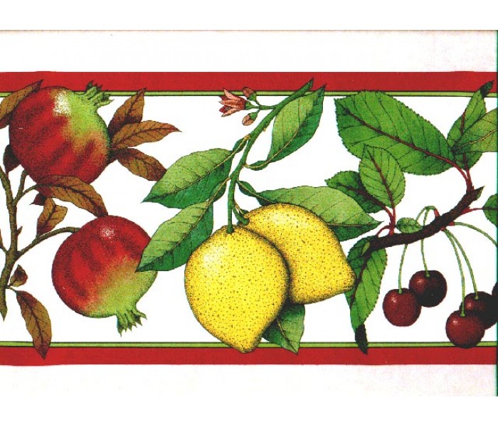 Clearance: Fruits Wallpaper Border b167217