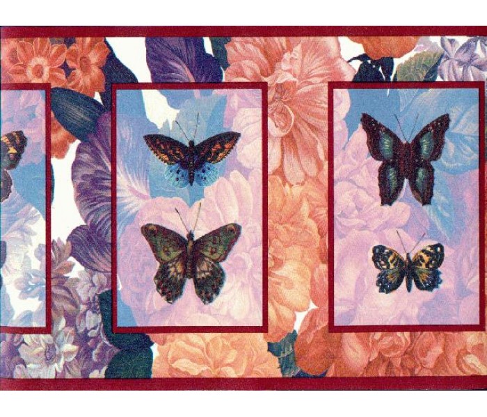 Clearance: Butterfly Wallpaper Border b3063