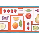 Garden Wallpaper Borders: Fruits Wallpaper Border PB58001B