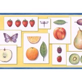 Clearance: Fruits Wallpaper Border PB58002B