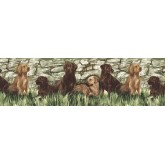 Clearance: Dogs Wallpaper Border TM75053