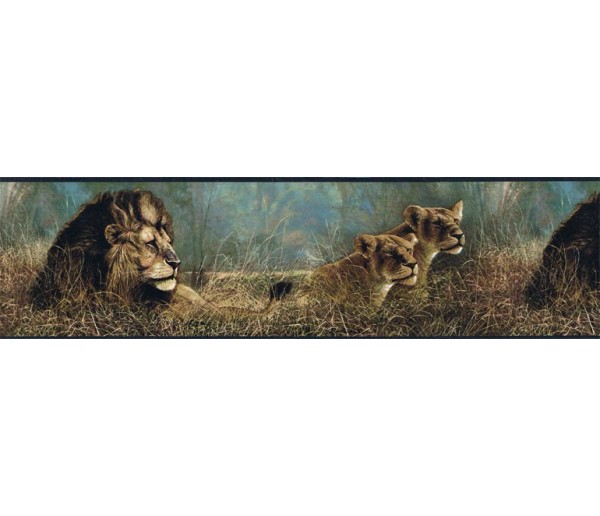 Cats Wallpaper Borders : Animals Wallpaper Border B76462