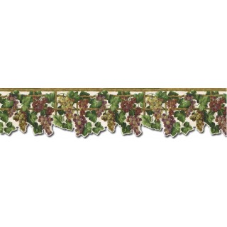 5 3/4 in x 15 ft Prepasted Wallpaper Borders - Grape Fruits Wall Paper Border WD76836DC