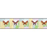Clearance: Butterfly Wallpaper Border NS7710B