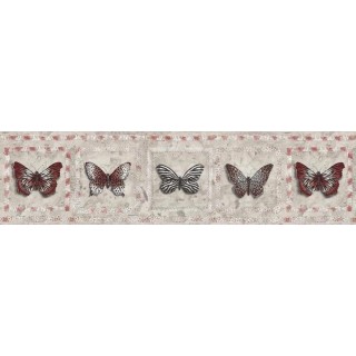 7 in x 15 ft Prepasted Wallpaper Borders - Butterfly Wall Paper Border AW77382