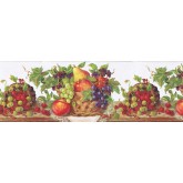 Garden Wallpaper Borders: Fruits Wallpaper Border RCH970420