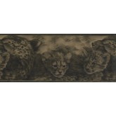 Cats Wallpaper Borders: Olive Green Cheetah Cubs Wallpaper Border